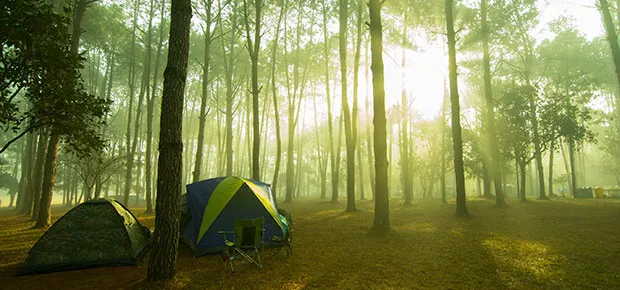Calls for tender campgrounds
